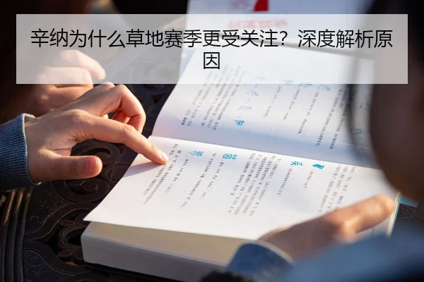 辛纳为什么草地赛季更受关注？深度解析原因